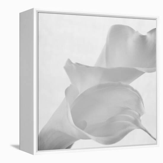 Black and White Calla Study-Anna Miller-Framed Premier Image Canvas