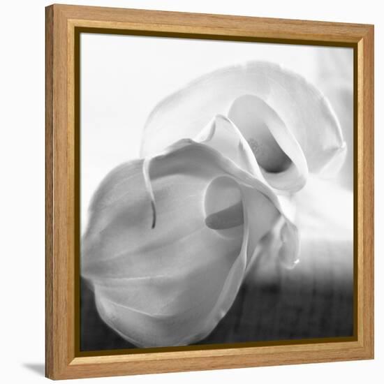 Black and White Calla Study-Anna Miller-Framed Premier Image Canvas