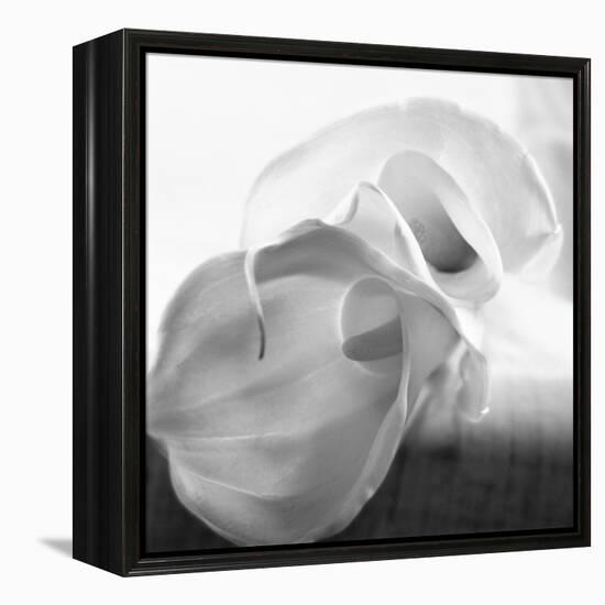 Black and White Calla Study-Anna Miller-Framed Premier Image Canvas