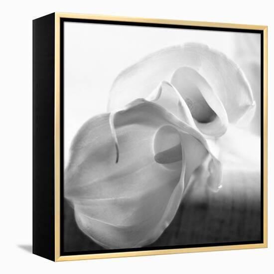 Black and White Calla Study-Anna Miller-Framed Premier Image Canvas