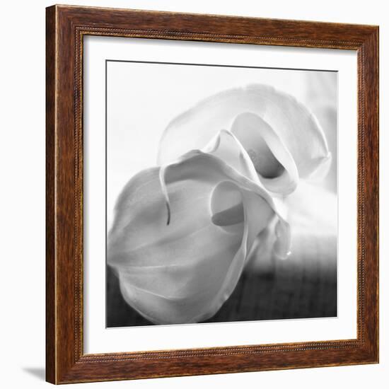 Black and White Calla Study-Anna Miller-Framed Premium Photographic Print