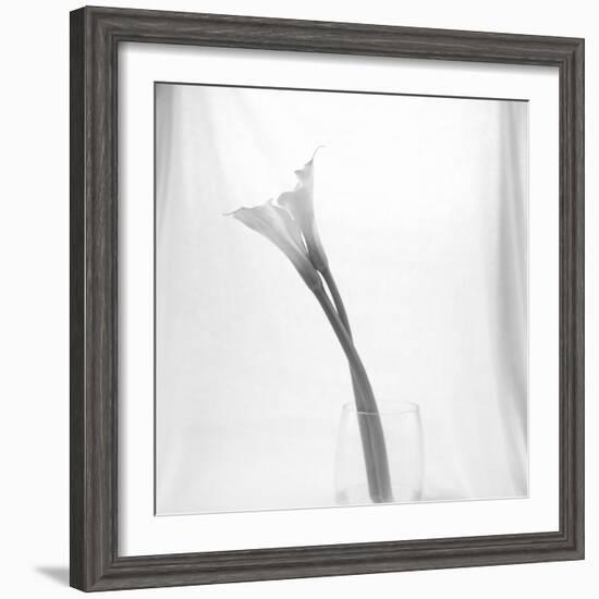 Black and White Calla Study-Anna Miller-Framed Premium Photographic Print