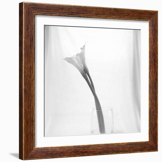 Black and White Calla Study-Anna Miller-Framed Premium Photographic Print