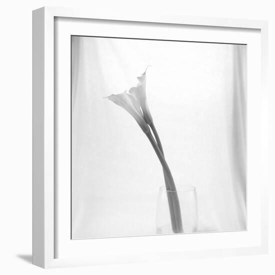 Black and White Calla Study-Anna Miller-Framed Premium Photographic Print