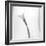 Black and White Calla Study-Anna Miller-Framed Premium Photographic Print