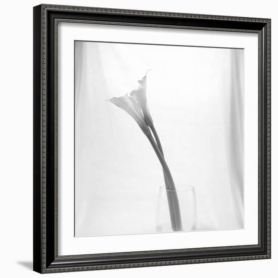 Black and White Calla Study-Anna Miller-Framed Premium Photographic Print