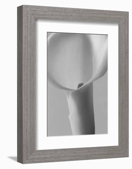 Black and White Calla Study-Anna Miller-Framed Photographic Print