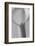 Black and White Calla Study-Anna Miller-Framed Photographic Print