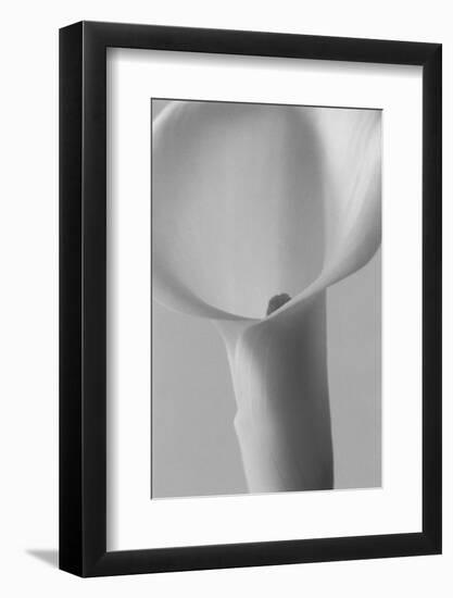 Black and White Calla Study-Anna Miller-Framed Photographic Print