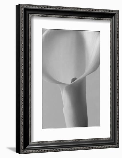 Black and White Calla Study-Anna Miller-Framed Photographic Print