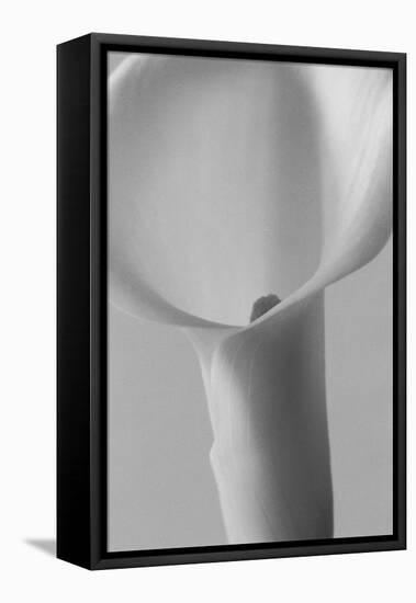 Black and White Calla Study-Anna Miller-Framed Premier Image Canvas