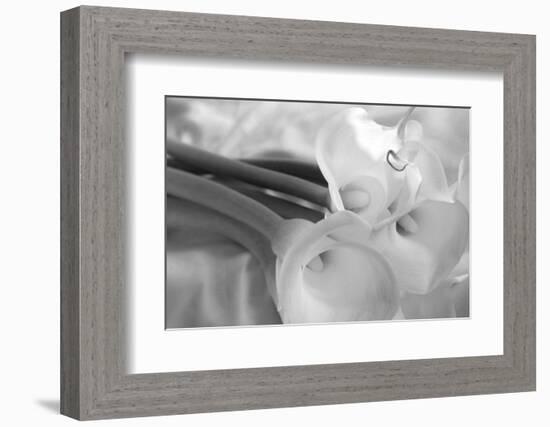 Black and White Calla Study-Anna Miller-Framed Photographic Print