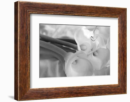 Black and White Calla Study-Anna Miller-Framed Photographic Print