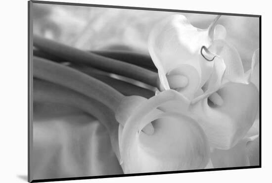 Black and White Calla Study-Anna Miller-Mounted Photographic Print