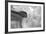 Black and White Calla Study-Anna Miller-Framed Photographic Print