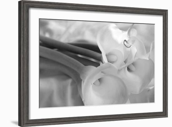 Black and White Calla Study-Anna Miller-Framed Photographic Print