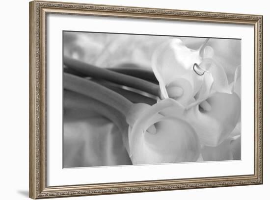 Black and White Calla Study-Anna Miller-Framed Photographic Print