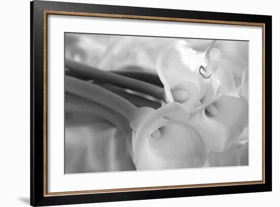 Black and White Calla Study-Anna Miller-Framed Photographic Print