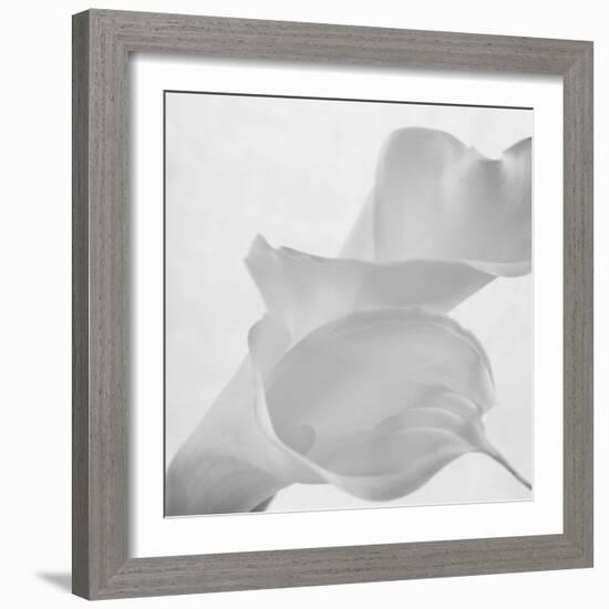 Black and White Calla Study-Anna Miller-Framed Photographic Print