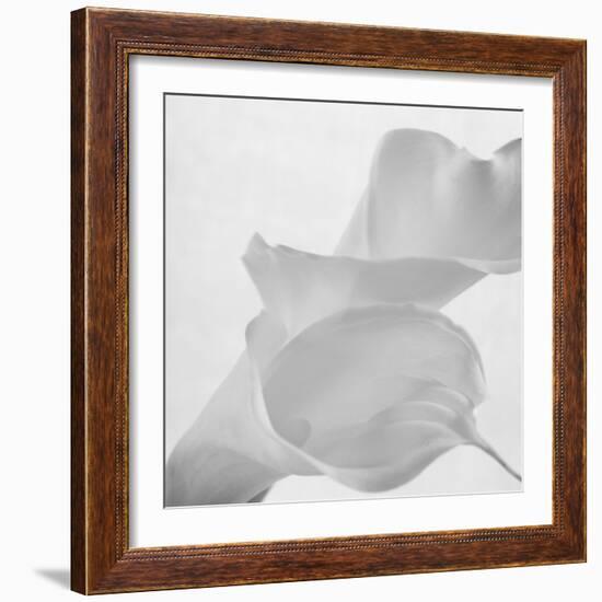 Black and White Calla Study-Anna Miller-Framed Photographic Print