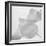 Black and White Calla Study-Anna Miller-Framed Photographic Print