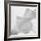 Black and White Calla Study-Anna Miller-Framed Photographic Print