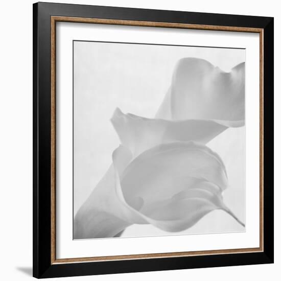 Black and White Calla Study-Anna Miller-Framed Photographic Print