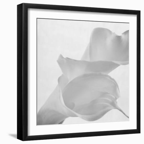 Black and White Calla Study-Anna Miller-Framed Photographic Print