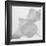 Black and White Calla Study-Anna Miller-Framed Photographic Print