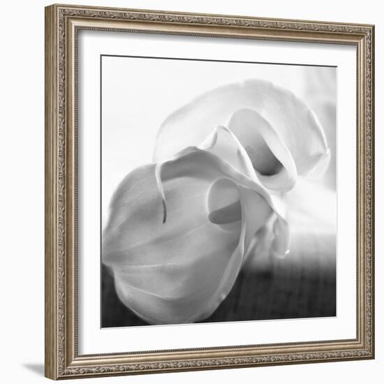 Black and White Calla Study-Anna Miller-Framed Photographic Print