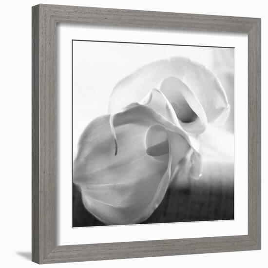 Black and White Calla Study-Anna Miller-Framed Photographic Print