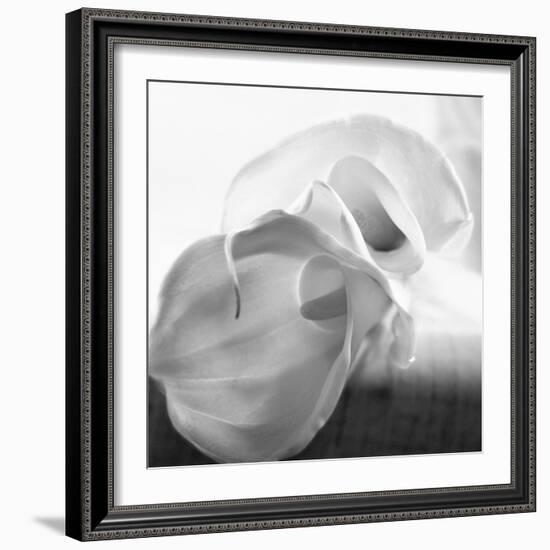 Black and White Calla Study-Anna Miller-Framed Photographic Print