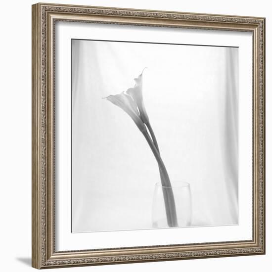 Black and White Calla Study-Anna Miller-Framed Photographic Print