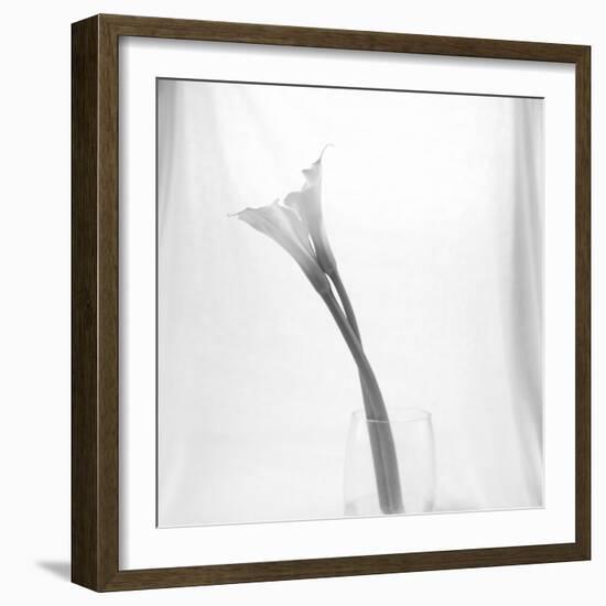 Black and White Calla Study-Anna Miller-Framed Photographic Print