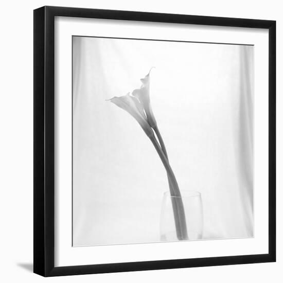 Black and White Calla Study-Anna Miller-Framed Photographic Print