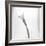 Black and White Calla Study-Anna Miller-Framed Photographic Print