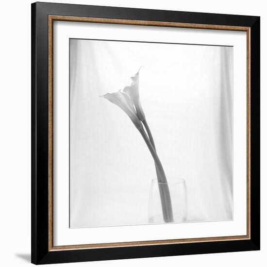 Black and White Calla Study-Anna Miller-Framed Photographic Print