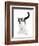 Black-And-White Cat, Pablo-Mark Taylor-Framed Photographic Print