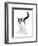 Black-And-White Cat, Pablo-Mark Taylor-Framed Photographic Print