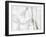 Black and white clematis-Savanah Plank-Framed Photo