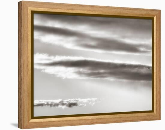 Black and white cloud formatio-Savanah Plank-Framed Stretched Canvas