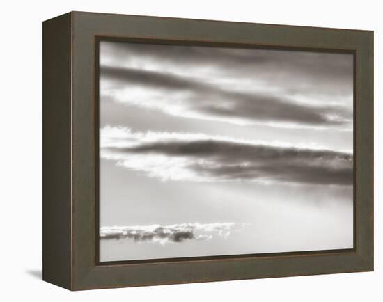 Black and white cloud formatio-Savanah Plank-Framed Stretched Canvas