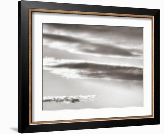 Black and white cloud formatio-Savanah Plank-Framed Photo
