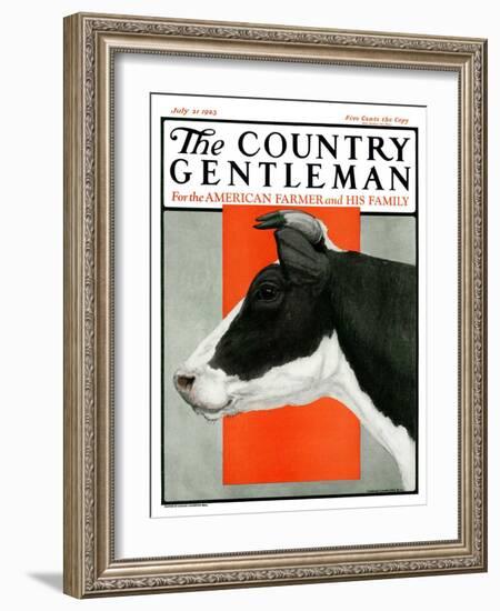 "Black and White Cow in Profile," Country Gentleman Cover, July 21, 1923-Charles Bull-Framed Giclee Print