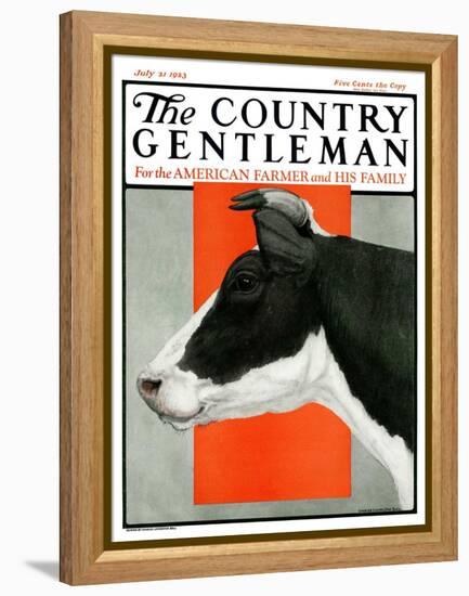 "Black and White Cow in Profile," Country Gentleman Cover, July 21, 1923-Charles Bull-Framed Premier Image Canvas