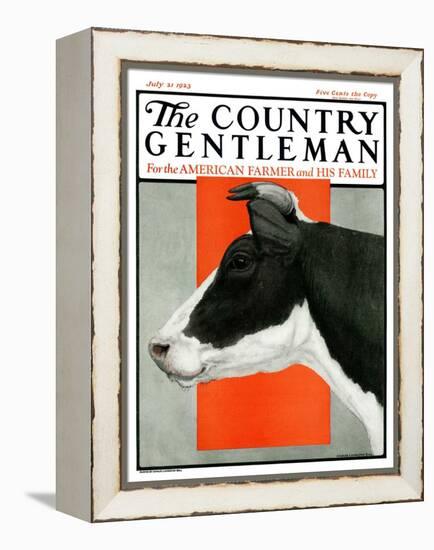 "Black and White Cow in Profile," Country Gentleman Cover, July 21, 1923-Charles Bull-Framed Premier Image Canvas