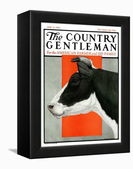 "Black and White Cow in Profile," Country Gentleman Cover, July 21, 1923-Charles Bull-Framed Premier Image Canvas