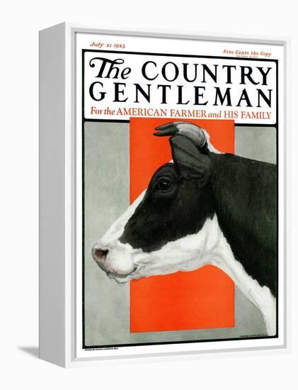 "Black and White Cow in Profile," Country Gentleman Cover, July 21, 1923-Charles Bull-Framed Premier Image Canvas