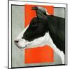 "Black and White Cow in Profile,"July 21, 1923-Charles Bull-Mounted Giclee Print