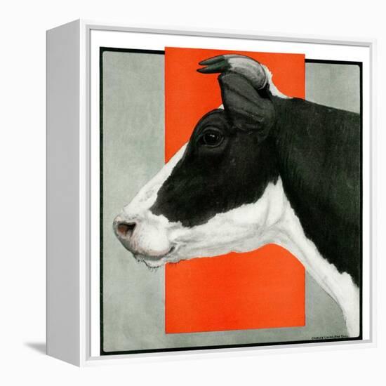 "Black and White Cow in Profile,"July 21, 1923-Charles Bull-Framed Premier Image Canvas